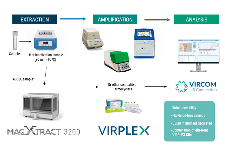 workflow mycobacteria