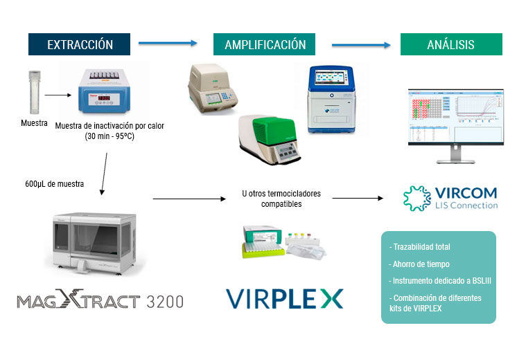 flujo de trabajo mycobacteria