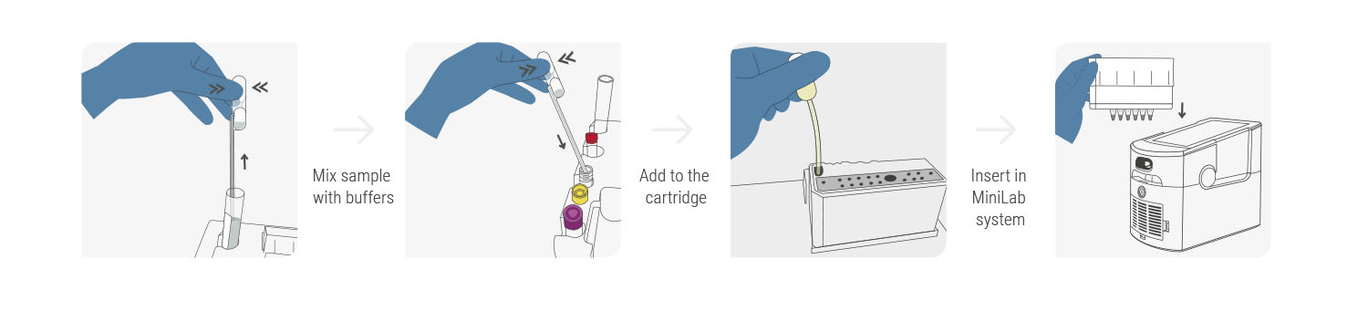 WORKFLOW MINILAB