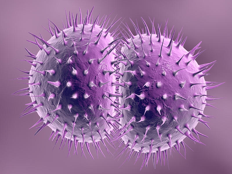 Neisseria gonorrhoeae_Fotolia_89003315_800x600.jpg